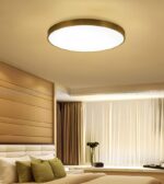 Đèn Ốp Trần Đồng Tối Giản OD-717 - Ảnh 7